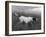 Banchory Rita Owned by Lorna Countess Howe-Thomas Fall-Framed Photographic Print