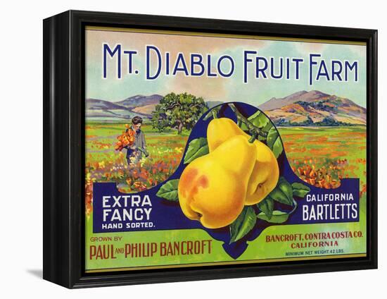 Bancroft, California, Mt. Diablo Fruit Farm Brand Pear Label-Lantern Press-Framed Stretched Canvas