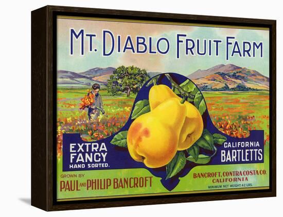 Bancroft, California, Mt. Diablo Fruit Farm Brand Pear Label-Lantern Press-Framed Stretched Canvas