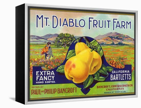 Bancroft, California, Mt. Diablo Fruit Farm Brand Pear Label-Lantern Press-Framed Stretched Canvas