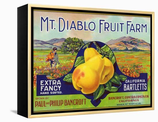 Bancroft, California, Mt. Diablo Fruit Farm Brand Pear Label-Lantern Press-Framed Stretched Canvas