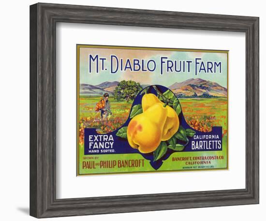 Bancroft, California, Mt. Diablo Fruit Farm Brand Pear Label-Lantern Press-Framed Art Print