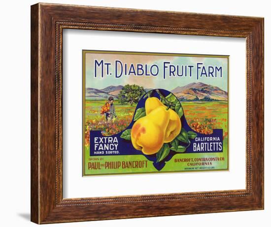 Bancroft, California, Mt. Diablo Fruit Farm Brand Pear Label-Lantern Press-Framed Art Print