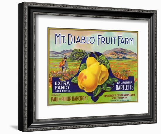 Bancroft, California, Mt. Diablo Fruit Farm Brand Pear Label-Lantern Press-Framed Art Print