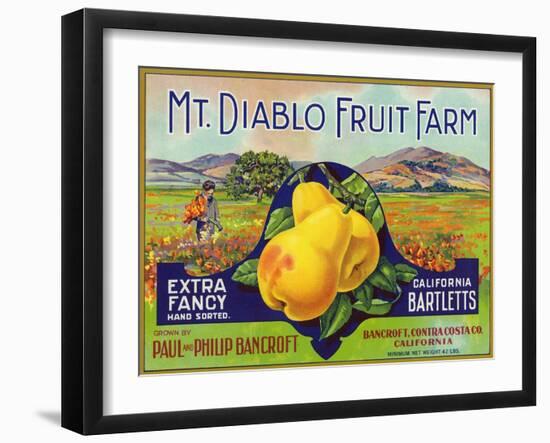 Bancroft, California, Mt. Diablo Fruit Farm Brand Pear Label-Lantern Press-Framed Art Print