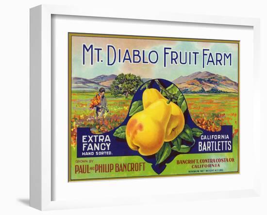 Bancroft, California, Mt. Diablo Fruit Farm Brand Pear Label-Lantern Press-Framed Art Print