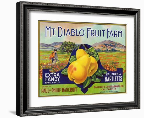 Bancroft, California, Mt. Diablo Fruit Farm Brand Pear Label-Lantern Press-Framed Art Print