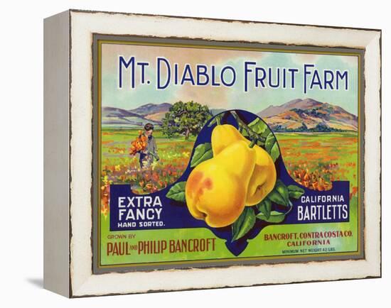 Bancroft, California, Mt. Diablo Fruit Farm Brand Pear Label-Lantern Press-Framed Stretched Canvas