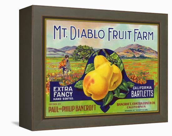 Bancroft, California, Mt. Diablo Fruit Farm Brand Pear Label-Lantern Press-Framed Stretched Canvas