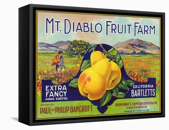 Bancroft, California, Mt. Diablo Fruit Farm Brand Pear Label-Lantern Press-Framed Stretched Canvas