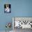 Bandana Dog-Patti Mollica-Framed Stretched Canvas displayed on a wall