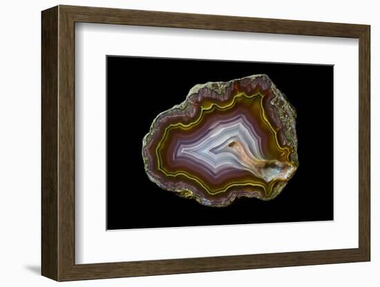 Banded Agate, Quartzsite, AZ-Darrell Gulin-Framed Photographic Print