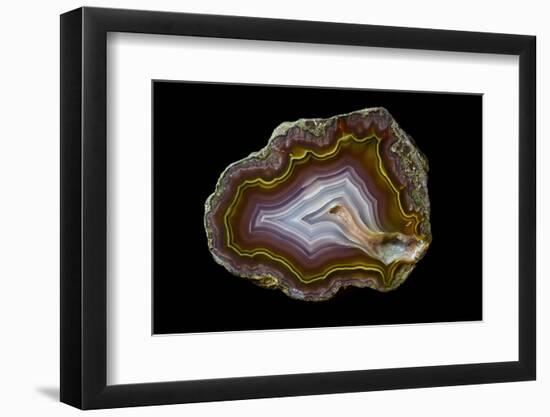 Banded Agate, Quartzsite, AZ-Darrell Gulin-Framed Photographic Print