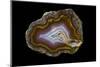 Banded Agate, Quartzsite, AZ-Darrell Gulin-Mounted Photographic Print