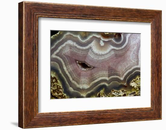 Banded Agate, Quartzsite, AZ-Darrell Gulin-Framed Photographic Print