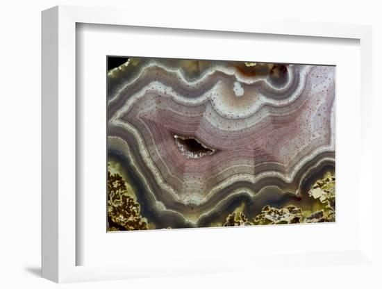 Banded Agate, Quartzsite, AZ-Darrell Gulin-Framed Photographic Print