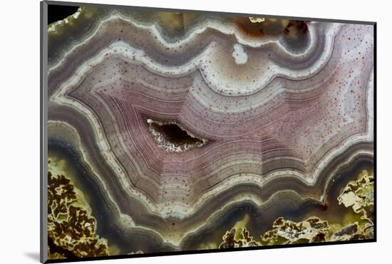 Banded Agate, Quartzsite, AZ-Darrell Gulin-Mounted Photographic Print