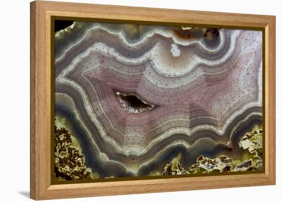 Banded Agate, Quartzsite, AZ-Darrell Gulin-Framed Premier Image Canvas