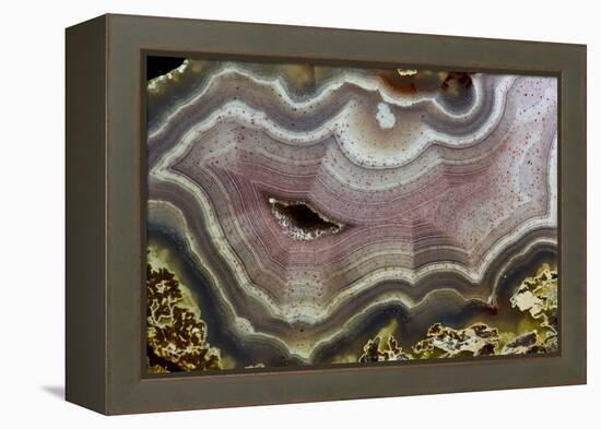 Banded Agate, Quartzsite, AZ-Darrell Gulin-Framed Premier Image Canvas