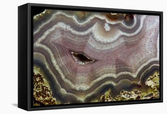 Banded Agate, Quartzsite, AZ-Darrell Gulin-Framed Premier Image Canvas