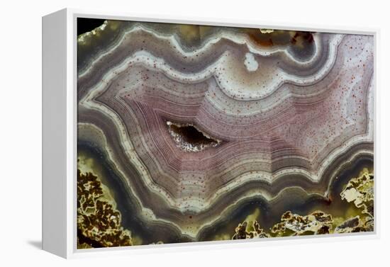 Banded Agate, Quartzsite, AZ-Darrell Gulin-Framed Premier Image Canvas