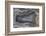 Banded Agate, Quartzsite, AZ-Darrell Gulin-Framed Photographic Print