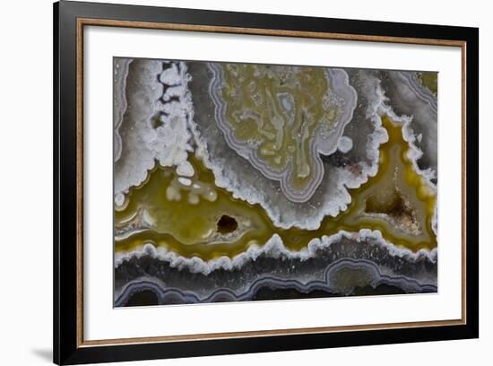 Banded Agate, Quartzsite, AZ-Darrell Gulin-Framed Premium Photographic Print