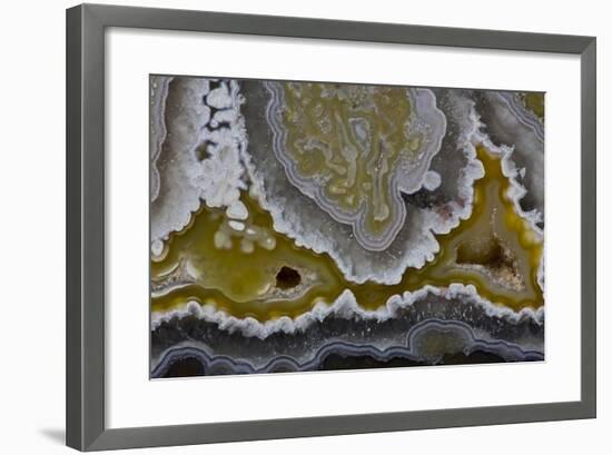 Banded Agate, Quartzsite, AZ-Darrell Gulin-Framed Premium Photographic Print