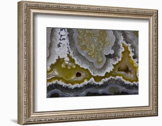 Banded Agate, Quartzsite, AZ-Darrell Gulin-Framed Photographic Print