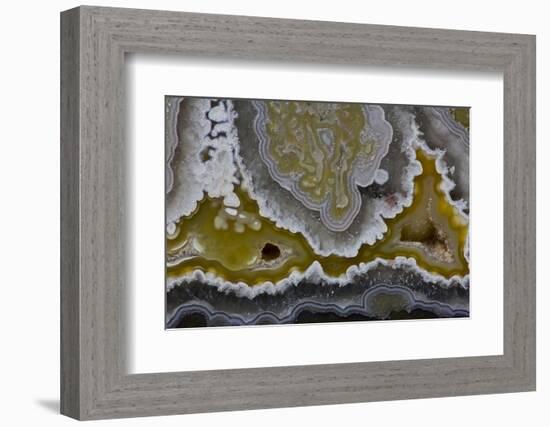 Banded Agate, Quartzsite, AZ-Darrell Gulin-Framed Photographic Print