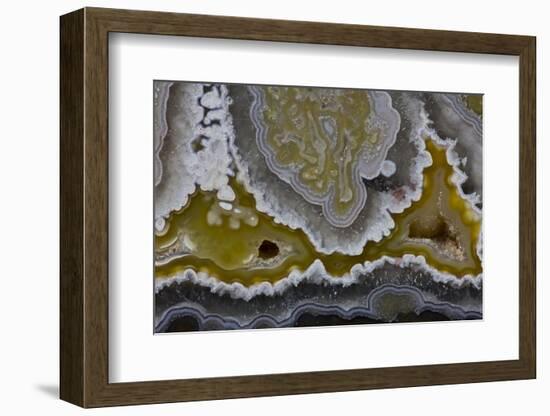 Banded Agate, Quartzsite, AZ-Darrell Gulin-Framed Photographic Print