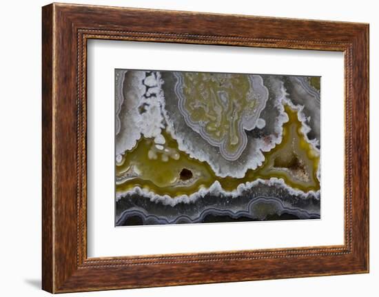 Banded Agate, Quartzsite, AZ-Darrell Gulin-Framed Photographic Print