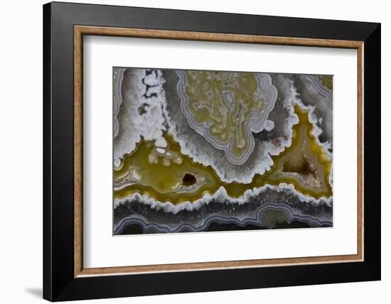 Banded Agate, Quartzsite, AZ-Darrell Gulin-Framed Photographic Print