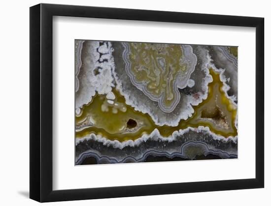 Banded Agate, Quartzsite, AZ-Darrell Gulin-Framed Photographic Print