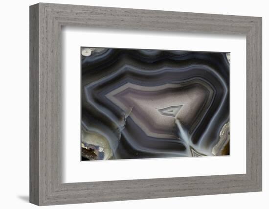 Banded Agate, Quartzsite, AZ-Darrell Gulin-Framed Photographic Print