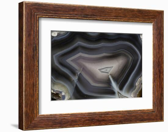 Banded Agate, Quartzsite, AZ-Darrell Gulin-Framed Photographic Print