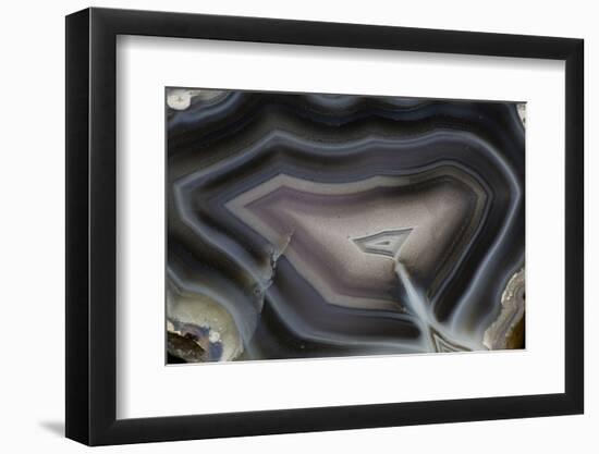 Banded Agate, Quartzsite, AZ-Darrell Gulin-Framed Photographic Print