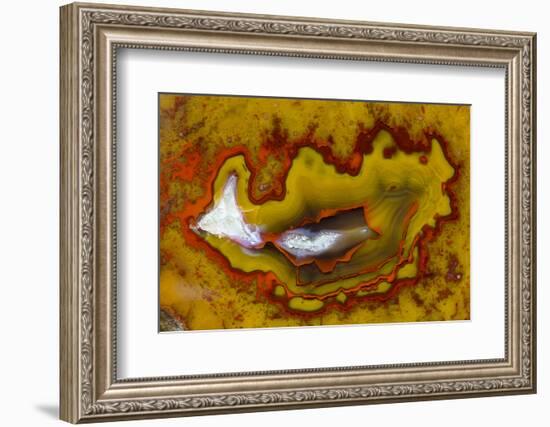 Banded Agate, Quartzsite, AZ-Darrell Gulin-Framed Photographic Print