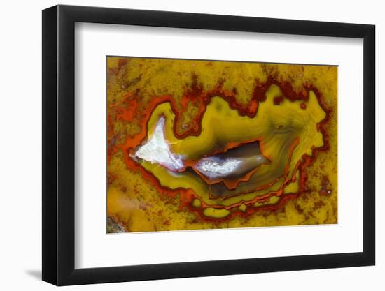 Banded Agate, Quartzsite, AZ-Darrell Gulin-Framed Photographic Print