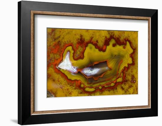 Banded Agate, Quartzsite, AZ-Darrell Gulin-Framed Photographic Print