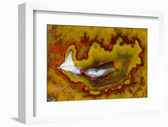 Banded Agate, Quartzsite, AZ-Darrell Gulin-Framed Photographic Print