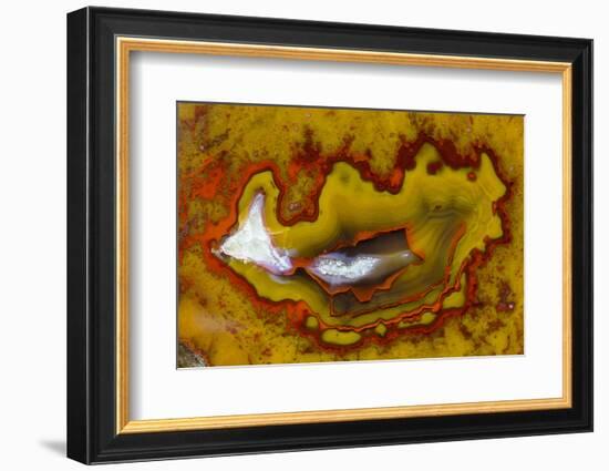 Banded Agate, Quartzsite, AZ-Darrell Gulin-Framed Photographic Print