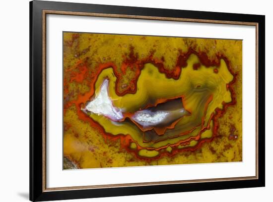 Banded Agate, Quartzsite, AZ-Darrell Gulin-Framed Photographic Print