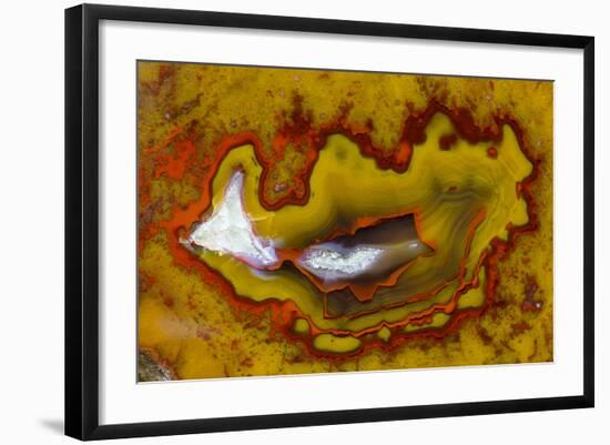 Banded Agate, Quartzsite, AZ-Darrell Gulin-Framed Photographic Print