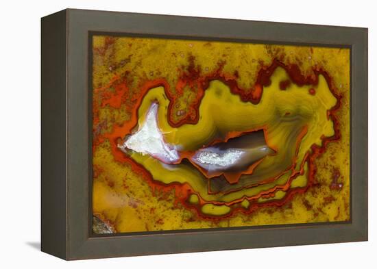 Banded Agate, Quartzsite, AZ-Darrell Gulin-Framed Premier Image Canvas