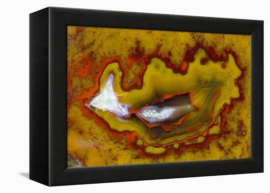 Banded Agate, Quartzsite, AZ-Darrell Gulin-Framed Premier Image Canvas