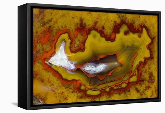 Banded Agate, Quartzsite, AZ-Darrell Gulin-Framed Premier Image Canvas