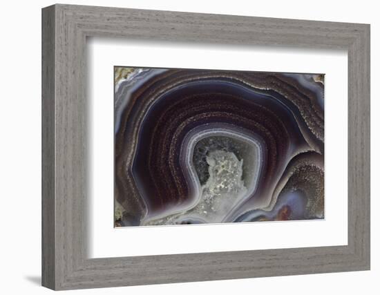 Banded Agate, Quartzsite, AZ-Darrell Gulin-Framed Photographic Print