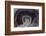 Banded Agate, Quartzsite, AZ-Darrell Gulin-Framed Photographic Print