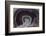 Banded Agate, Quartzsite, AZ-Darrell Gulin-Framed Photographic Print